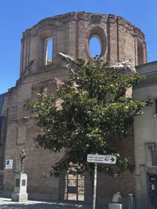 IMG_9273