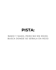 pista (2)