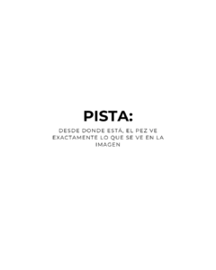 pista (4)